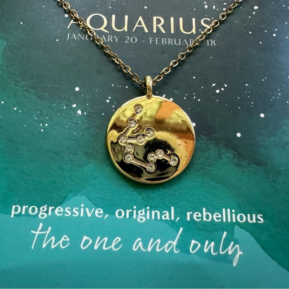 Aquarius constellation necklace- Soul Stacks Co. - Picture 3 of 4